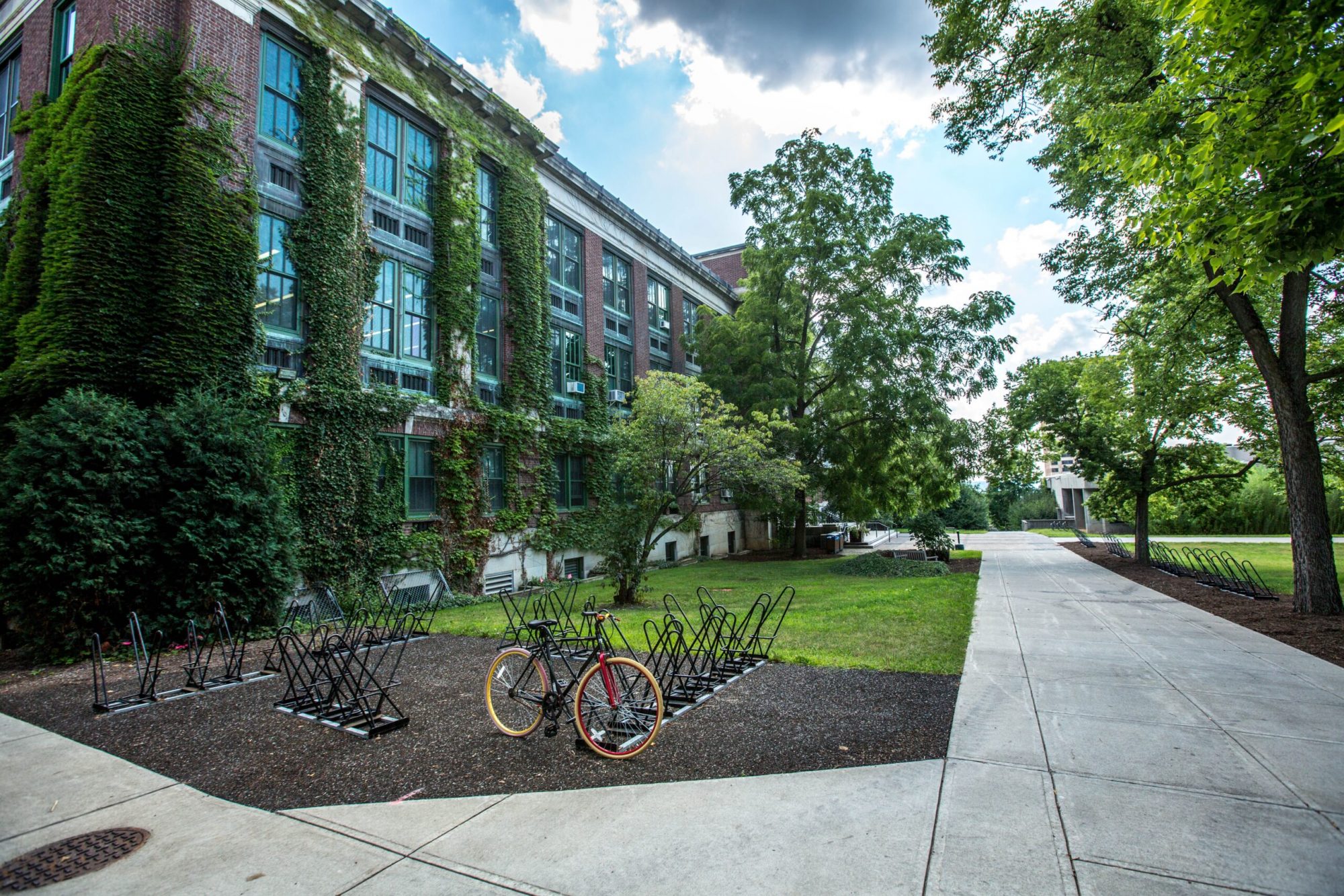 The Key Elements of a Safe, Attractive Parking Lot Design