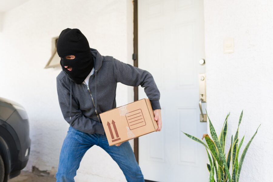 Porch pirate stealing package